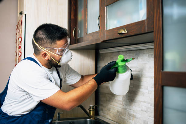 Best Local Pest Control Services  in Argentine, MI