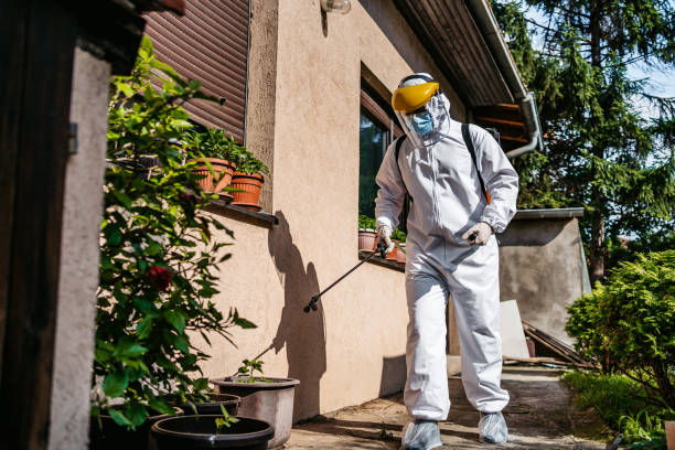 Best Mosquito Control Services  in Argentine, MI