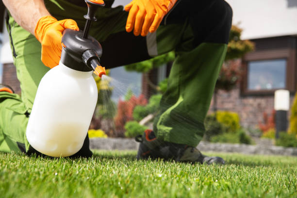 Wasp Removal Services in Argentine, MI