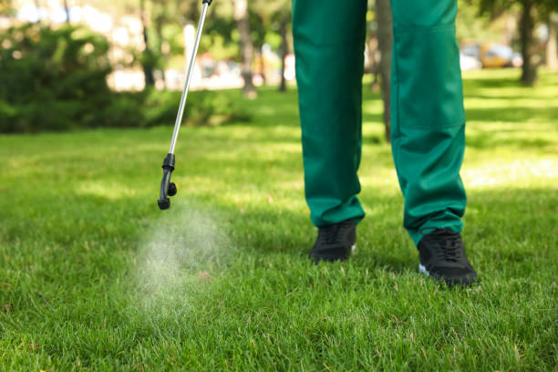 Best Emergency Pest Control  in Argentine, MI