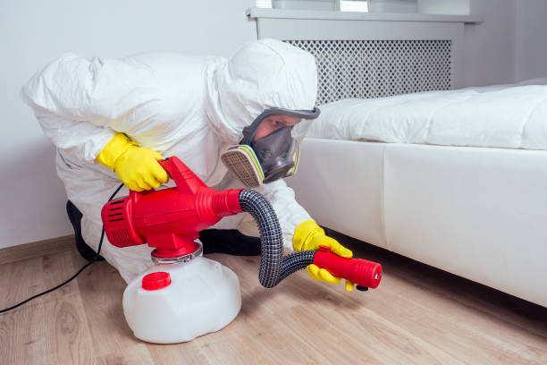 Best Insect Control  in Argentine, MI