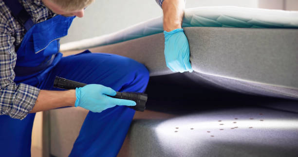 Professional Pest Control in Argentine, MI