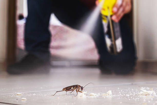 Best Affordable Pest Control Services  in Argentine, MI