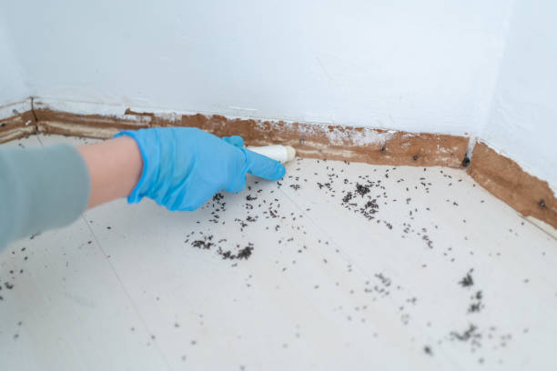 Best Affordable Pest Control Services  in Argentine, MI